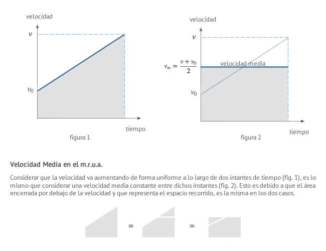Velocidad Media en los m.r.u.a
