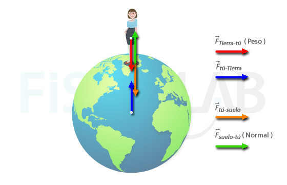 Diagrama de fuerzas cuando permaneces de pie sobre el suelo