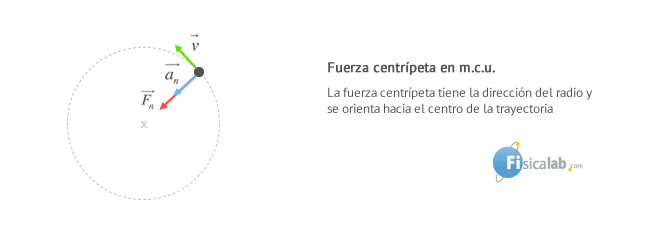 La fuerza centrípeta tiene la dirección del radio y se orienta hacia el centro de la trayectoria