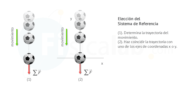 (1). Determina la trayectoria del movimiento. (2). Haz coincidir la trayectoria con uno de los ejes de coordenadas x o y.