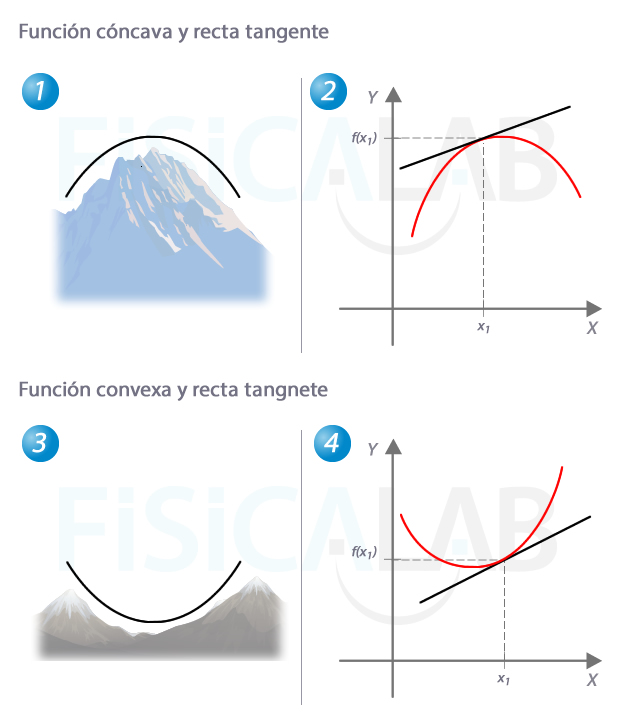 Curvatura de una función: concavidad y convexidad.